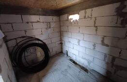 Casa + 20 arii  teren, distanta  30 km de Bistrita