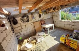 Casa + 20 arii  teren, distanta  30 km de Bistrita