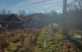 Casa + 20 arii  teren, distanta  30 km de Bistrita