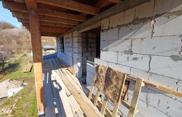 Casa + 20 arii  teren, distanta  30 km de Bistrita