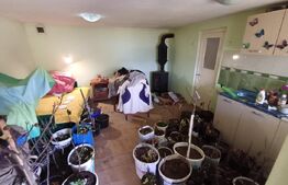 Casa + 20 arii  teren, distanta  30 km de Bistrita