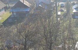 Casa + 20 arii  teren, distanta  30 km de Bistrita