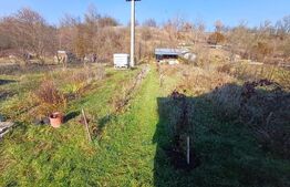 Casa + 20 arii  teren, distanta  30 km de Bistrita
