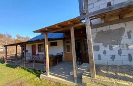 Casa + 20 arii  teren, distanta  30 km de Bistrita