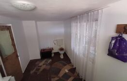 Casa + 20 arii  teren, distanta  30 km de Bistrita