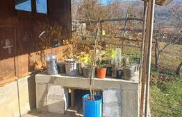 Casa + 20 arii  teren, distanta  30 km de Bistrita