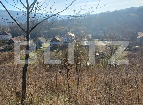 Casa de vânzare 3 camere Exterior Sud - 162301CV | BLITZ Bistriţa | Poza9