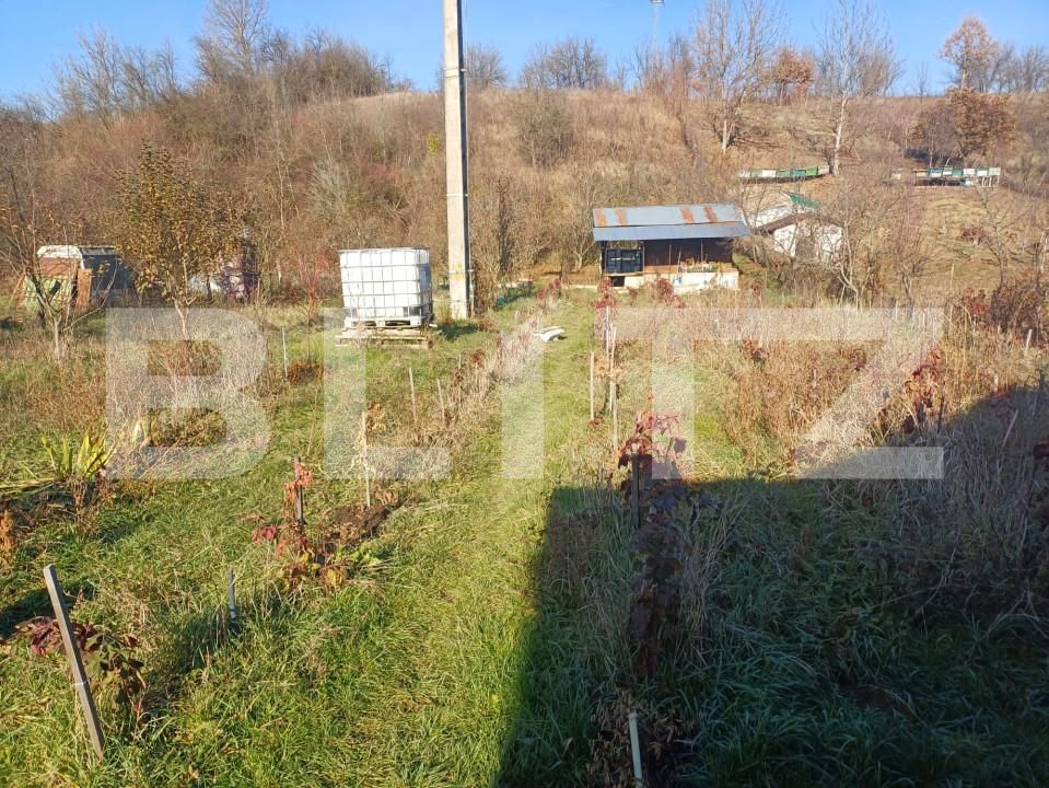 Casa de vânzare 3 camere Exterior Sud - 162301CV | BLITZ Bistriţa | Poza12