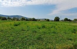 Teren de vanzare in Livezile 