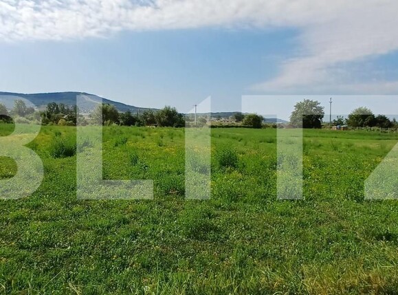 Teren de vânzare Livezile - 162514TV | BLITZ Bistriţa | Poza1