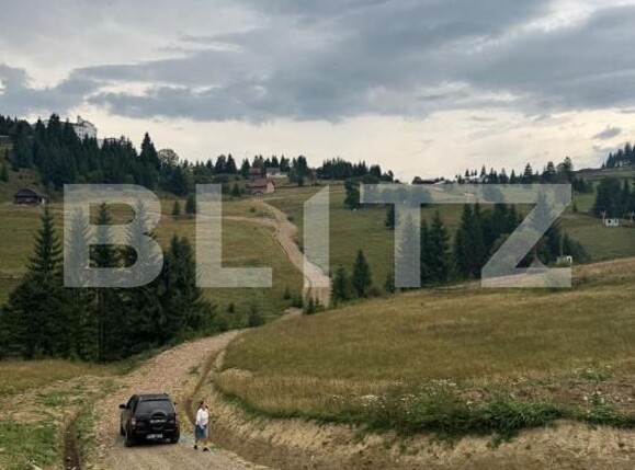 Teren de vânzare Piatra Fantanele - 162519TV | BLITZ Bistriţa | Poza2