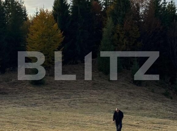 Teren de vânzare Piatra Fantanele - 162519TV | BLITZ Bistriţa | Poza1