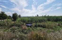 Teren intravilan, 24 arii, iesire la doua drumuri, Jelna