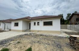 Case de vanzare, 500 mp teren, 110 mp utili, zona Valea Jelnii