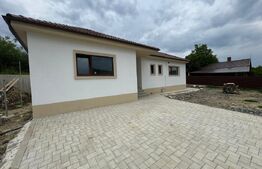 Case de vanzare, 500 mp teren, 110 mp utili, zona Valea Jelnii