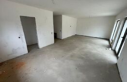 Case de vanzare, 500 mp teren, 110 mp utili, zona Valea Jelnii