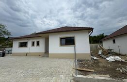 Case de vanzare, 500 mp teren, 110 mp utili, zona Valea Jelnii