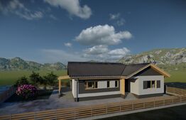 Case de vanzare, 500 mp teren, 110 mp utili, zona Valea Jelnii