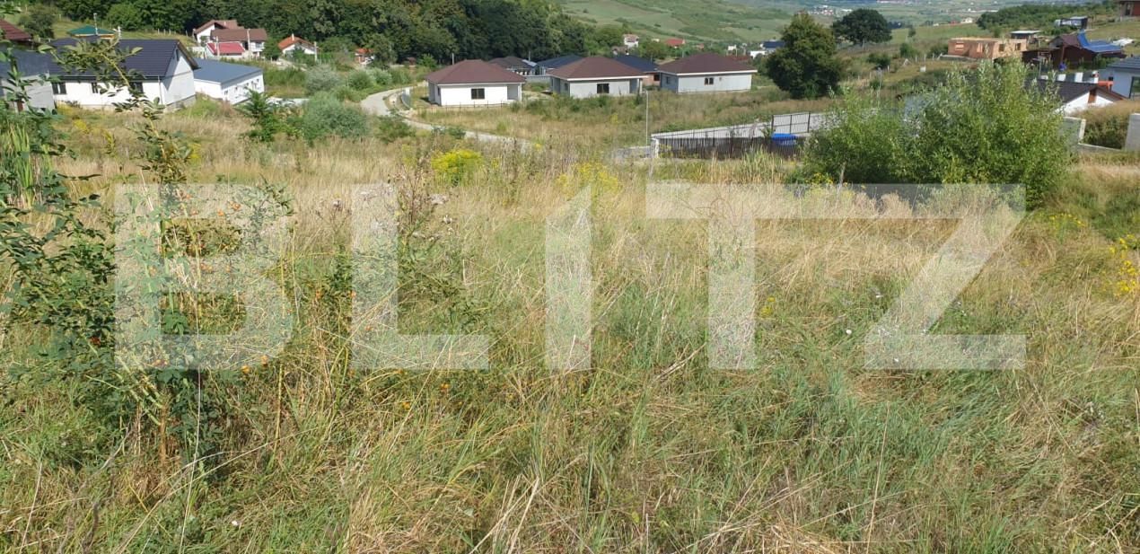 Teren de vânzare Nord - 163043TV | BLITZ Bistriţa | Poza2