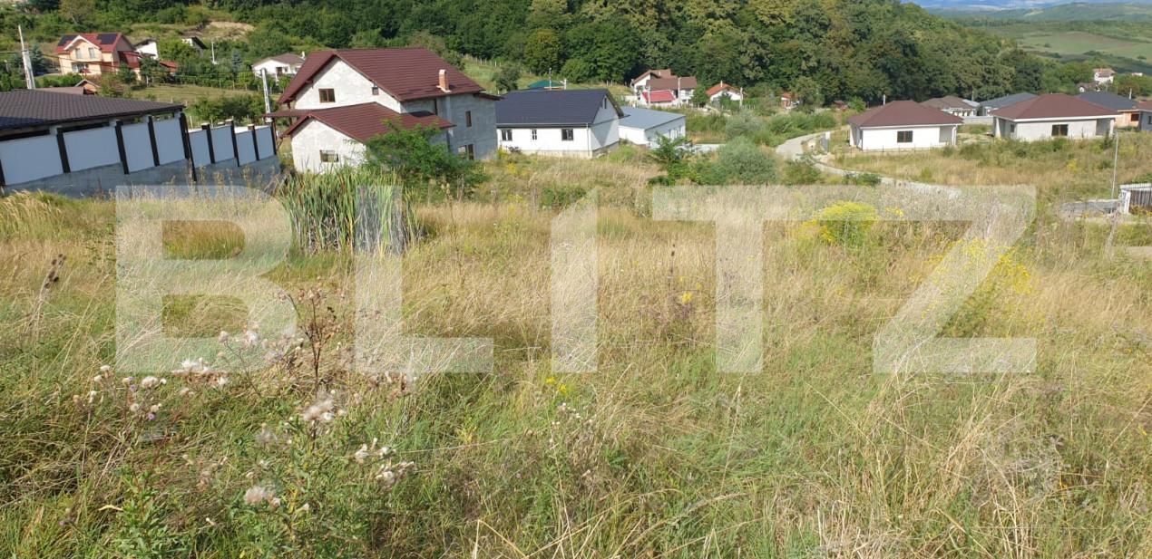 Teren de vânzare Nord - 163043TV | BLITZ Bistriţa | Poza4