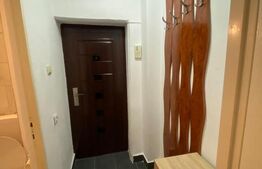 Garsoniera de inchiriat, 27 mp, Calea Moldovei