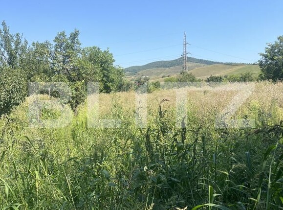 Casa de vânzare 3 camere Industrială - 163068CV | BLITZ Bistriţa | Poza10