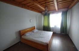 Villa, 500 mp, 7 camere, 3500 mp teren, zona Stramba