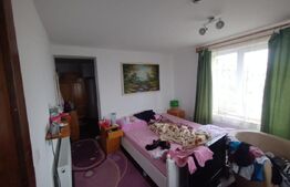 Villa, 500 mp, 7 camere, 3500 mp teren, zona Stramba