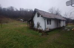 Casa cu 4 camere, 90 mp utili, 6300 mp teren, zona Mijloceni Bargaului