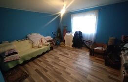 Casa 2 nivele, 6 camere, 150 mp utili, teren 3300 mp, zona Mijloceni Bargaului