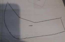 Teren 7000mp(70 Ari) extravilan, zona Simionesti