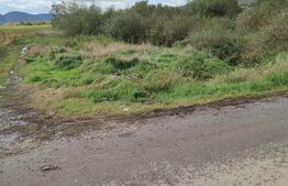 Teren 7000mp(70 Ari) extravilan, zona Simionesti