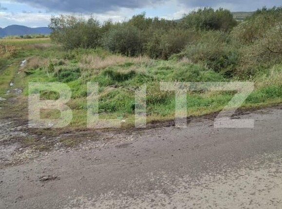 Teren de vânzare Sud - 163222TV | BLITZ Bistriţa | Poza3