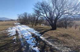 Teren extravilan 2500 mp,(25 ari)comuna Rusu Bargaului