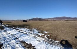 Teren extravilan 2500 mp,(25 ari)comuna Rusu Bargaului