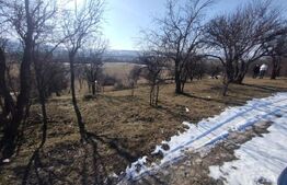 Teren extravilan 2500 mp,(25 ari)comuna Rusu Bargaului