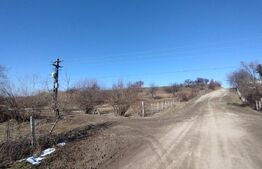 Teren extravilan 2500 mp,(25 ari)comuna Rusu Bargaului