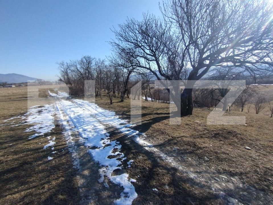 Teren de vânzare Ștefan cel Mare - 163223TV | BLITZ Bistriţa | Poza1