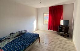 Casa de vanzare Livezile cu 5 arii de teren.