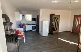 Casa de vanzare Livezile cu 5 arii de teren.