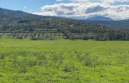 Teren intravilan Joseni Bargaului 