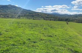 Teren intravilan Joseni Bargaului 