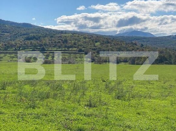 Teren de vânzare Exterior Nord - 163226TV | BLITZ Bistriţa | Poza1