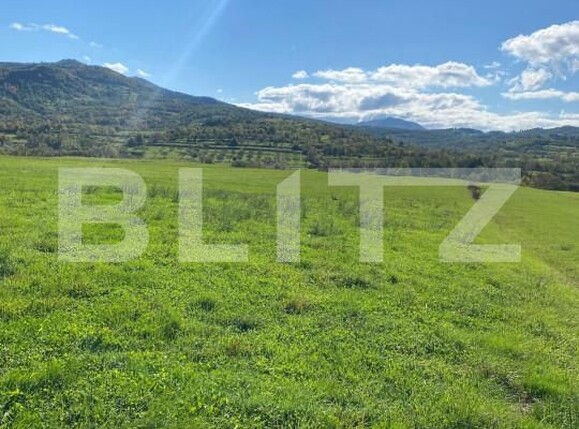 Teren de vânzare Exterior Nord - 163226TV | BLITZ Bistriţa | Poza2