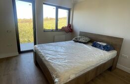 Oportunitate unică de investiție! Casă/pensiune de lux, la doar 9 km de Bistrița