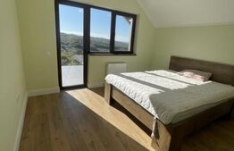 Oportunitate unică de investiție! Casă/pensiune de lux, la doar 9 km de Bistrița