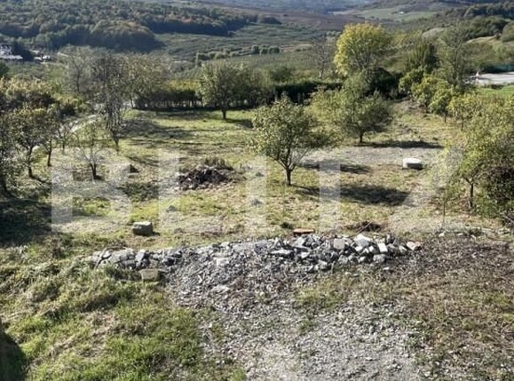 Casa de vânzare 6 camere Sud-Vest - 163229CV | BLITZ Bistriţa | Poza12