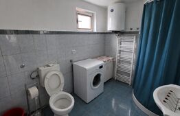 Casa de Vanzare in Teaca de 3 camere cu 11 arii teren 