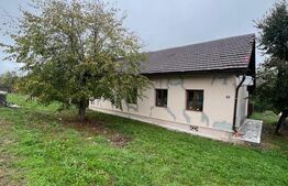 Casa de Vanzare in Teaca de 3 camere plus 17 arii teren !