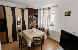 Casa de Vanzare in Teaca de 3 camere cu 11 arii teren 